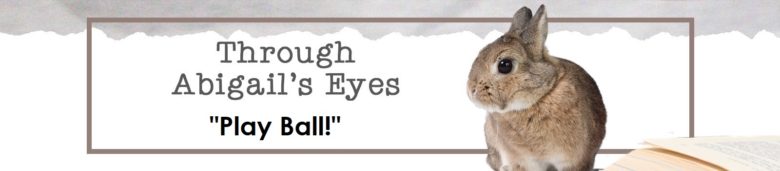 Through Abigail's Eyes: Play Ball!