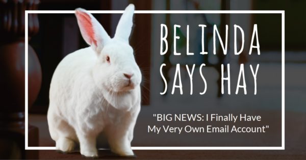 Belinda Says Hay: I finally have my very own email account