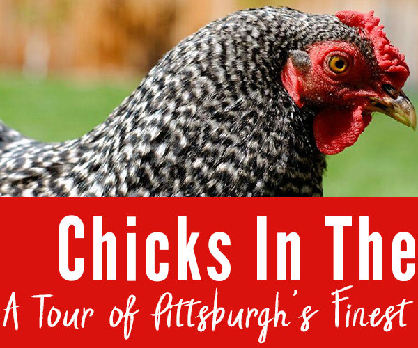 chicks in the hood