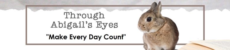 Through Abigail's Eyes: Make Every Day Count
