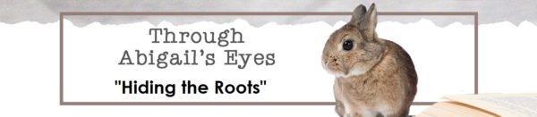 Through Abigail's Eyes: Hiding the Root