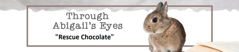 through Abigail's Eyes: Rescue Chocolate