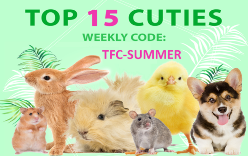 top 15 cuties: TFC-Summer