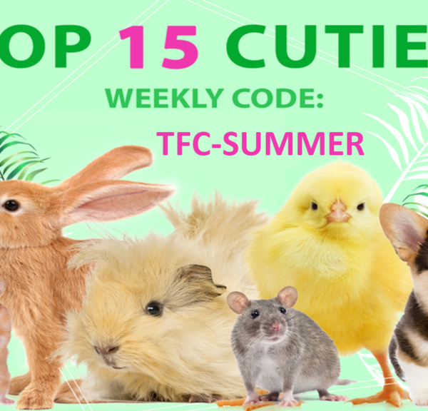 top 15 cuties: TFC-Summer