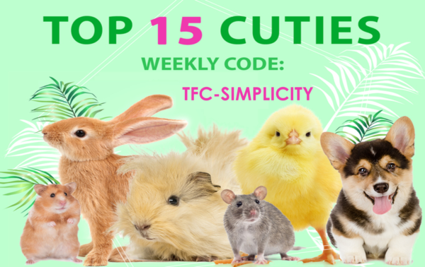 07132019-TFC