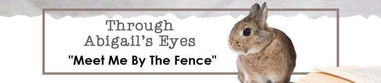 Through Abigail's Eyes: Meet me by the fence