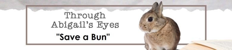 Through Abigail's Eyes: Save a Bun