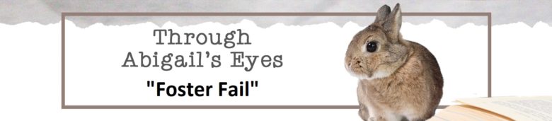 Through Abigail's Eyes: Foster Fail