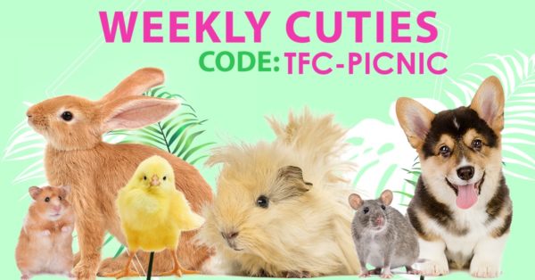 Weekly Cuties July 20, 2019