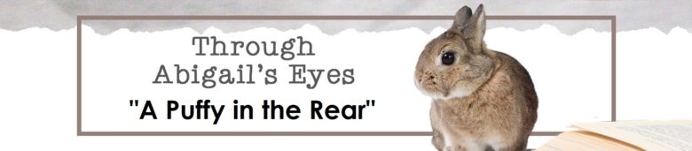 Through Abigail's Eyes: A puffy in the rear