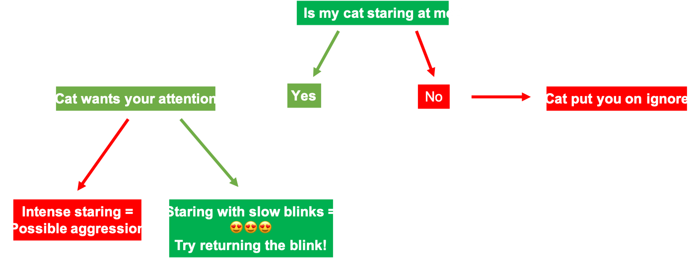 Cat communication flow chart