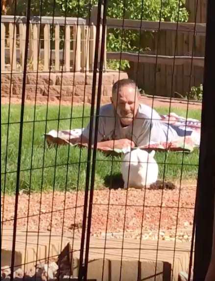 Sunny Digging Sunny Digging