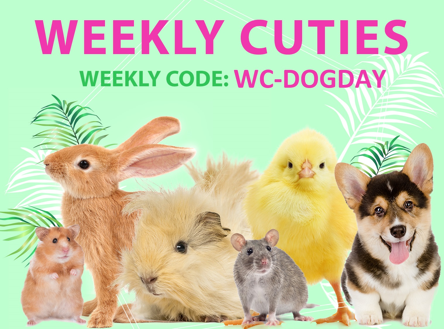 Every Day Should Be Dog Appreciation Day Small Pet Select Blogs Every Day Should Be Dog Appreciation Day Small Pet Select Blogs
