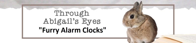 Through Abigail's Eyes: Furry Alarm Clocks