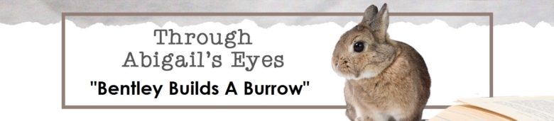 Through Abigail's Eyes: Bentley Builds A Burrow