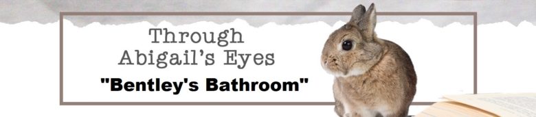 Through Abigail's Eyes: Bentley's Bathroom