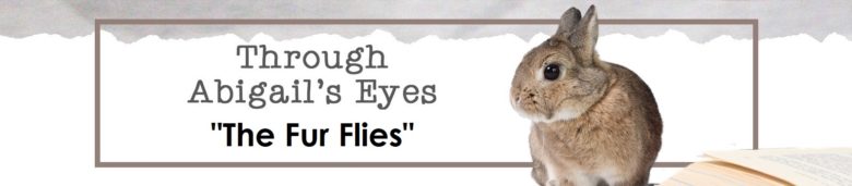 Through Abigail's Eyes: The Fur Flies