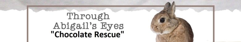 Through Abigail's Eyes: Chocolate Rescue