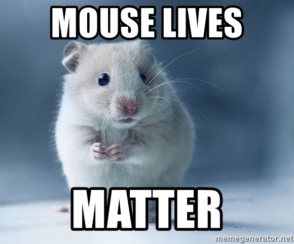 mouse meme - mouse lives matter