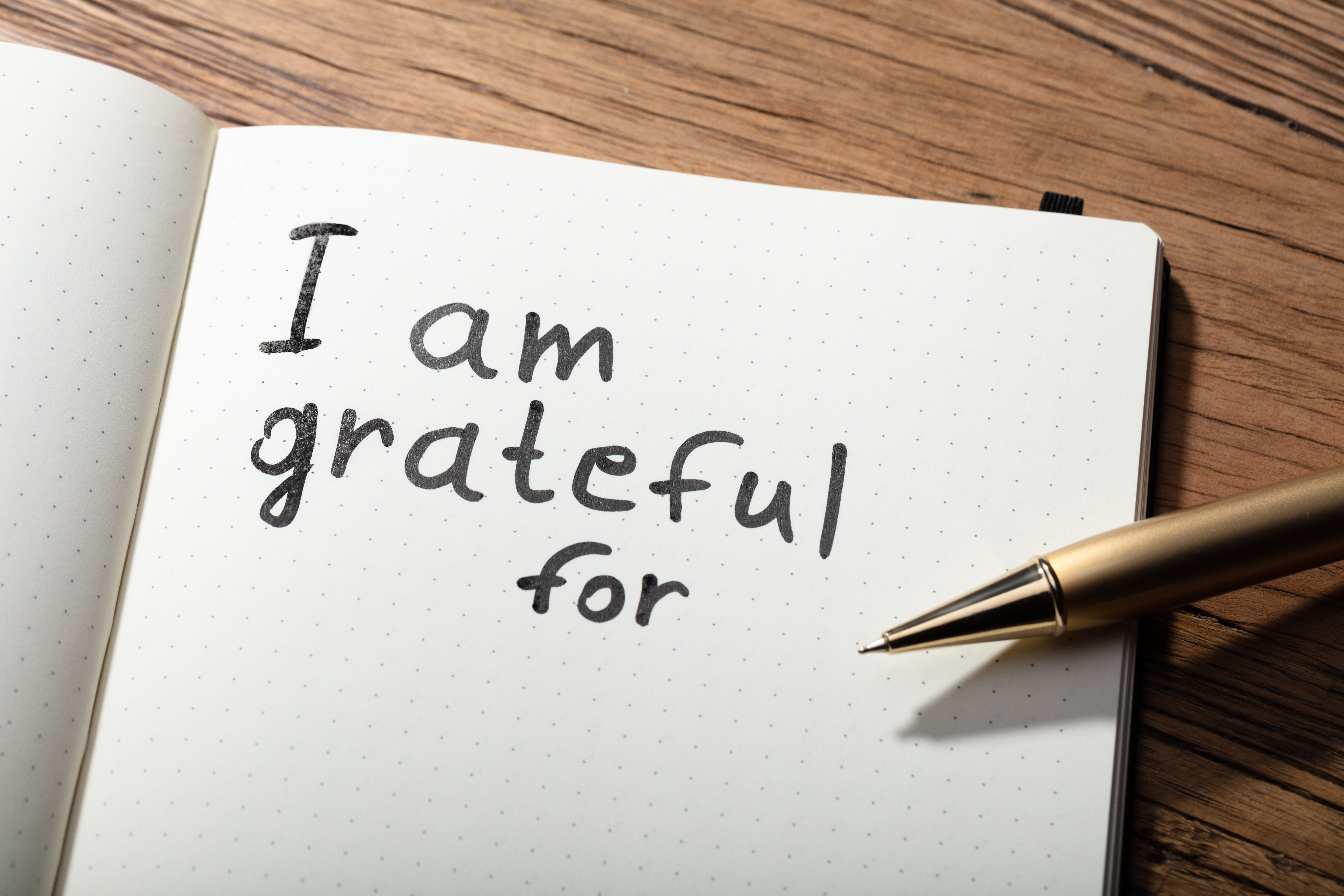 Gratitude Day