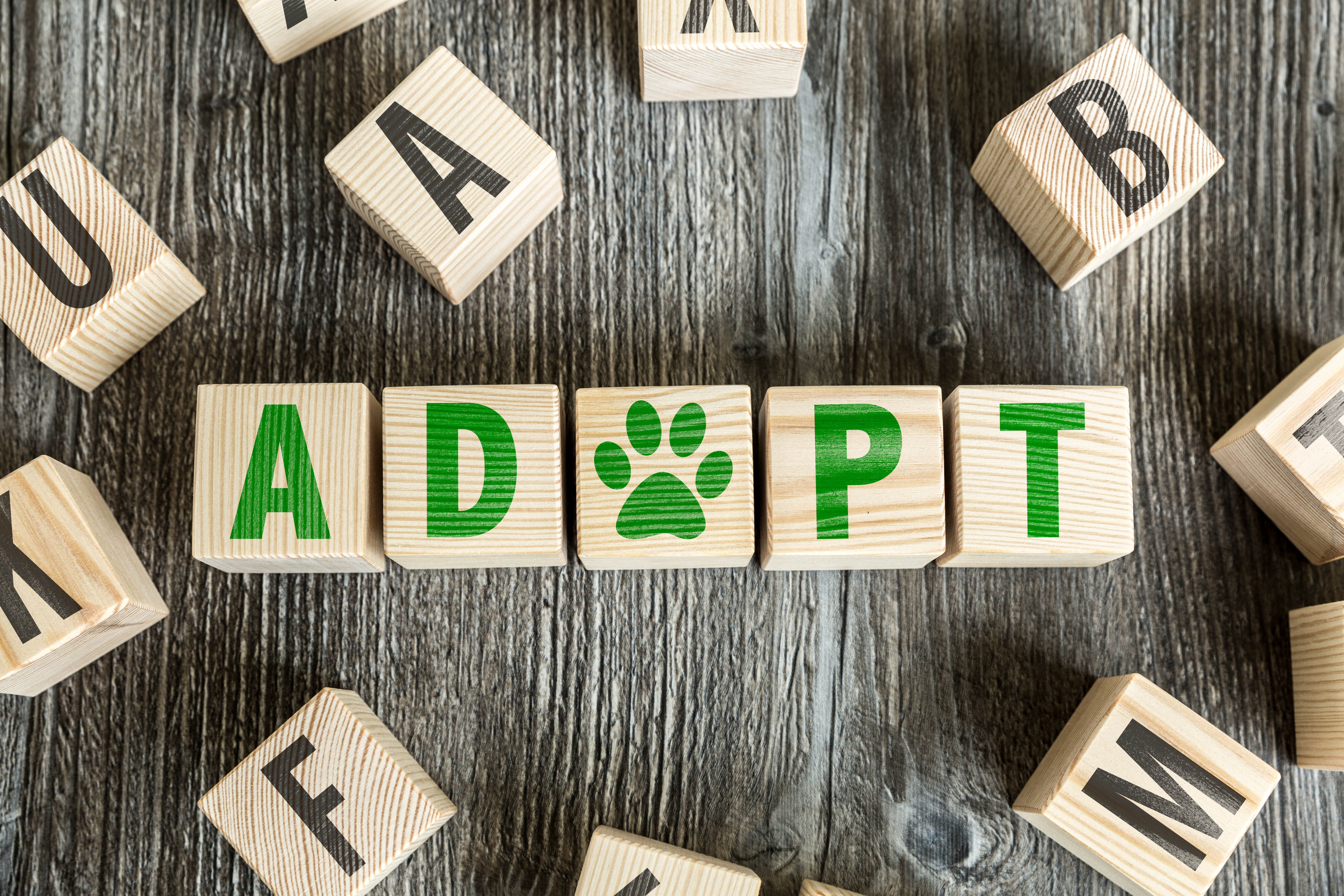 letters spelling "adopt"