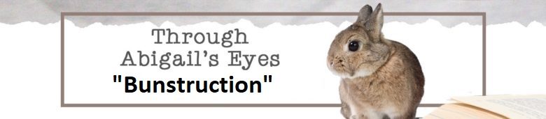 Through Abigail's Eyes: Bunstruction