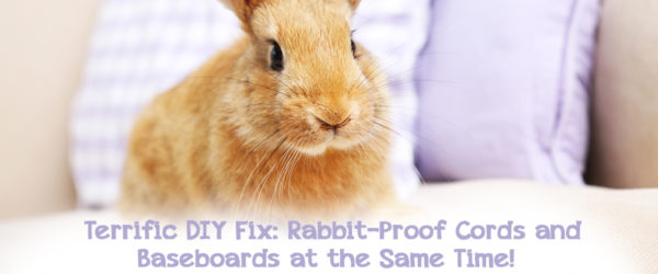 diy fix rabbit proof cords baseboards