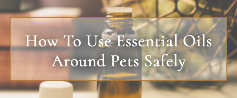 essential oils and small pet dangers