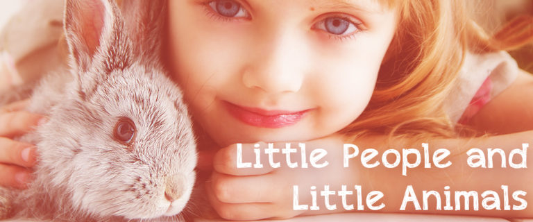 little people little animals