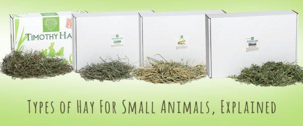 types of hay small animals explained