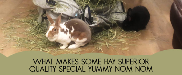 what makes some hay superior