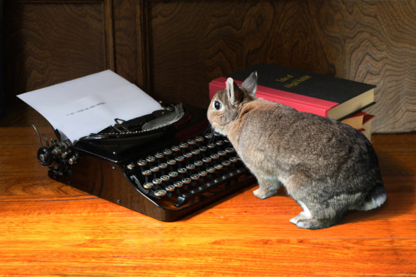 Abigail at her typewriter