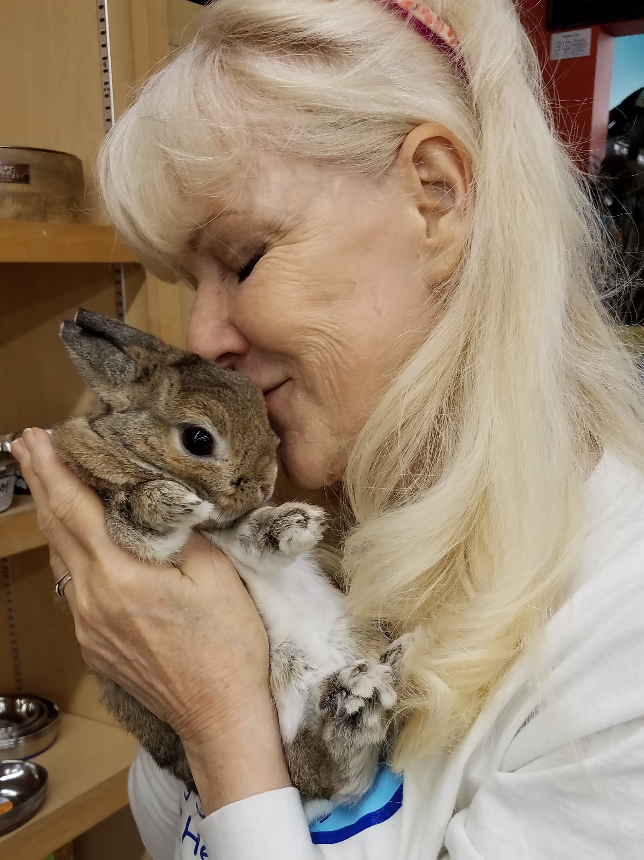 Auntie Heather helps lots of rabbits find homes