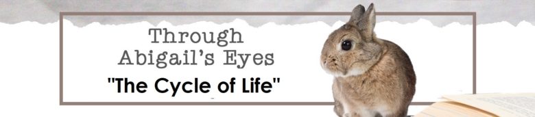 Through Abigail's Eyes: The Cycle of Life