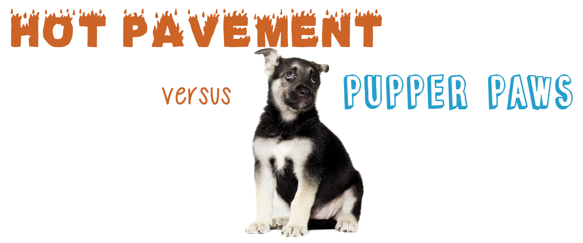 pavement heat dogs