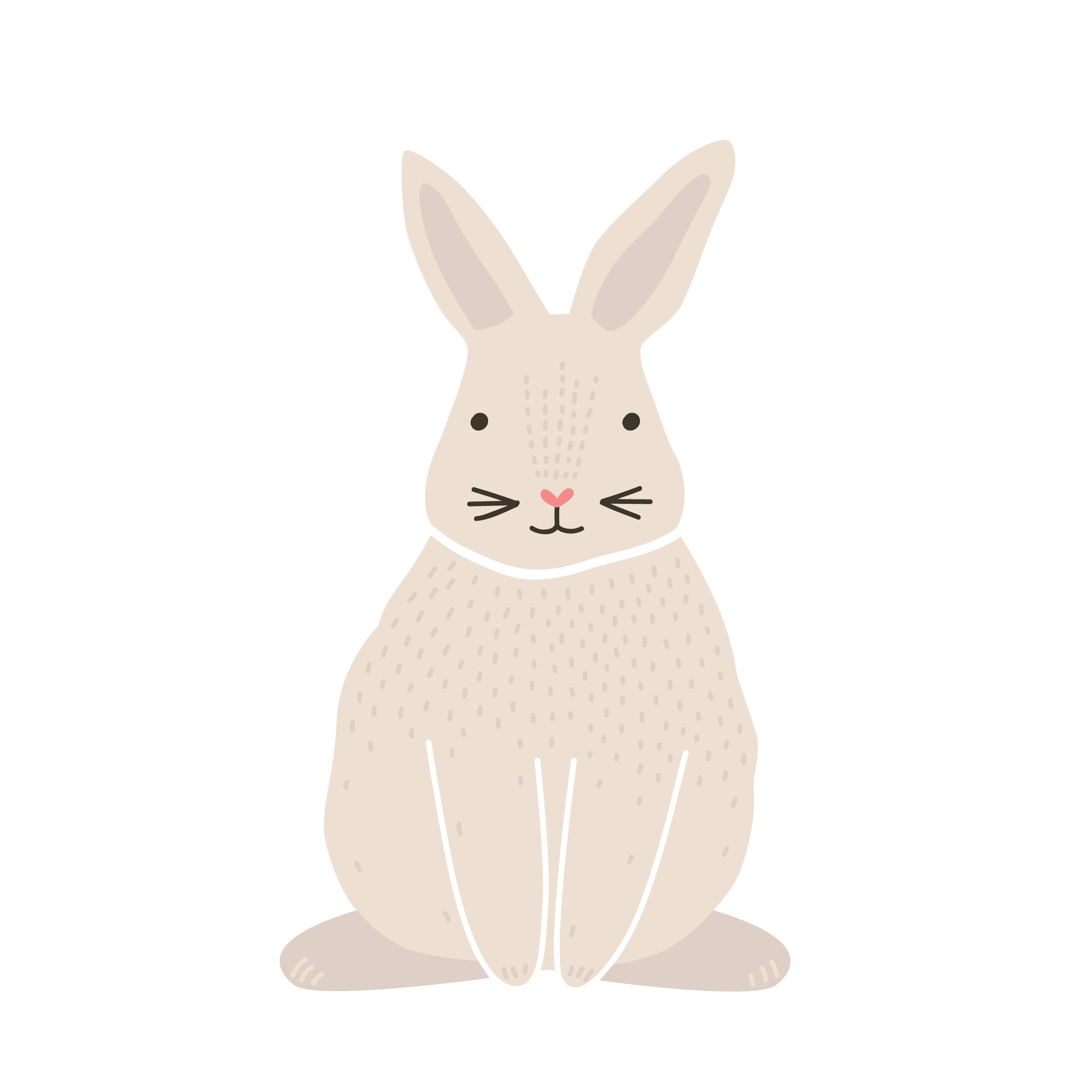 rabbit sitting