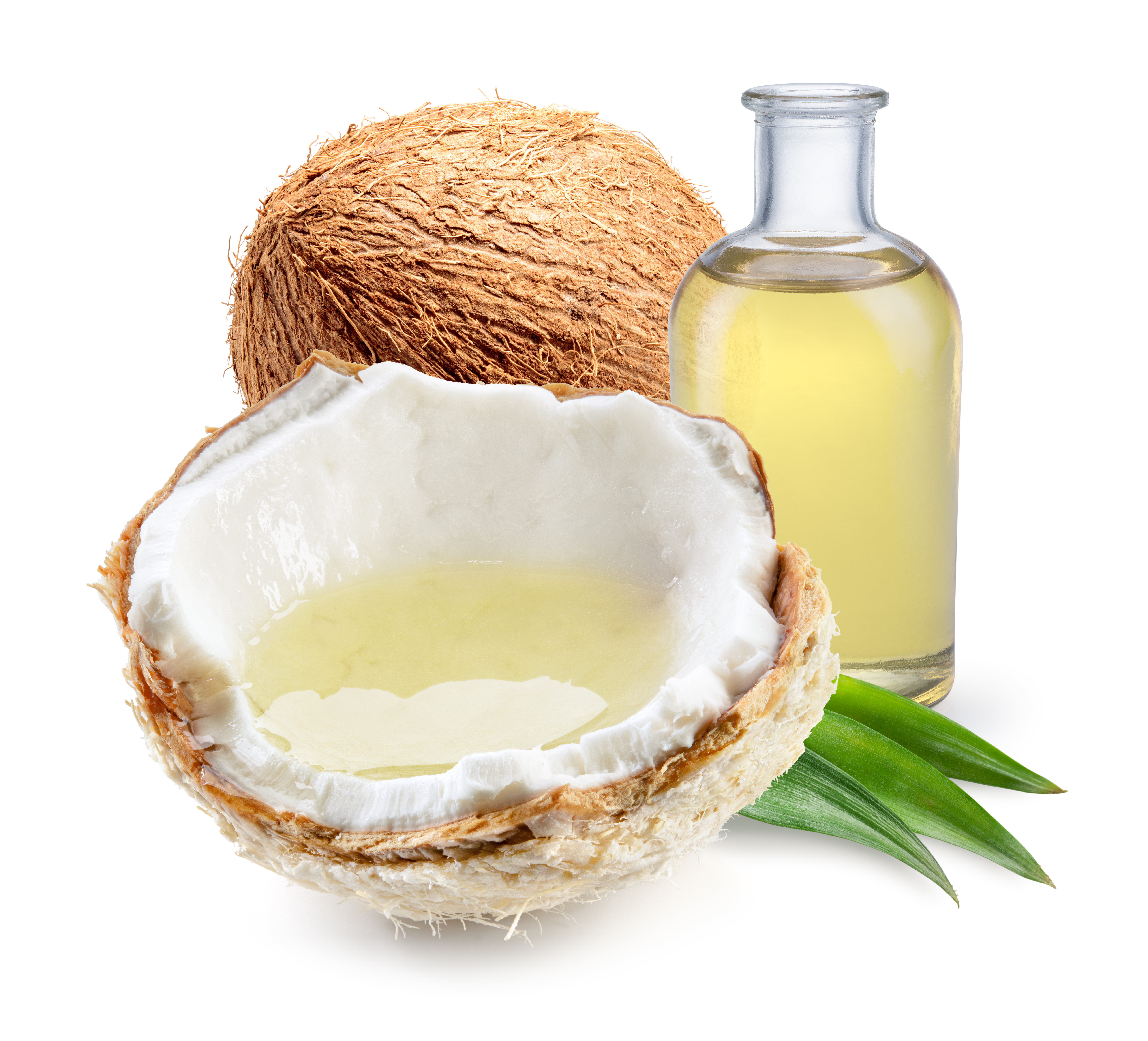 coconut oil for Guinea Pig baths