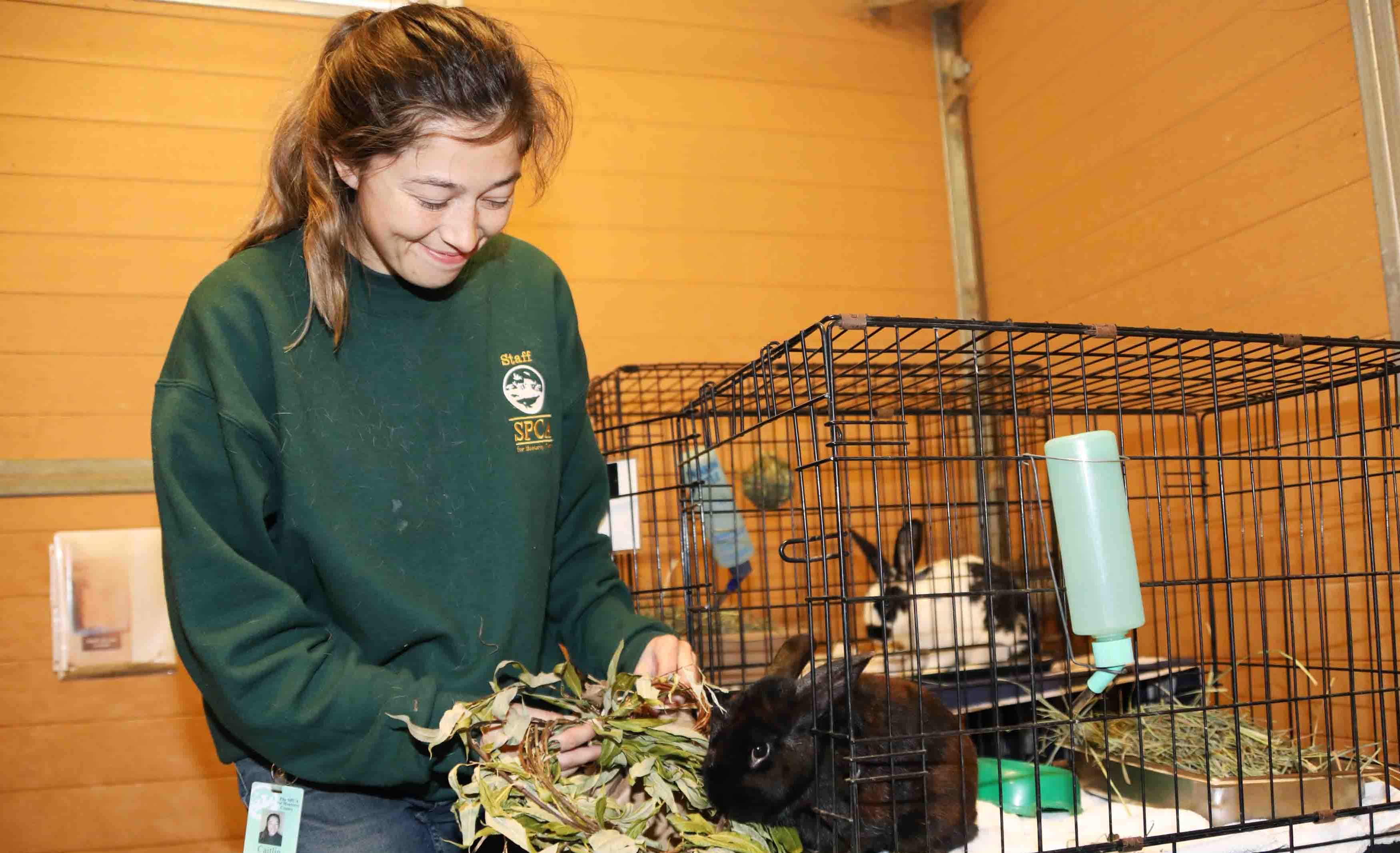 Caitlin gives a willow wreath to one of the bunnies at the Monterey SPCA.