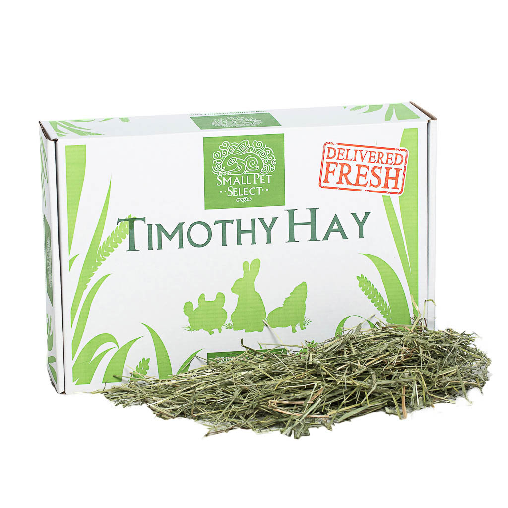 small pet select Timothy hay
