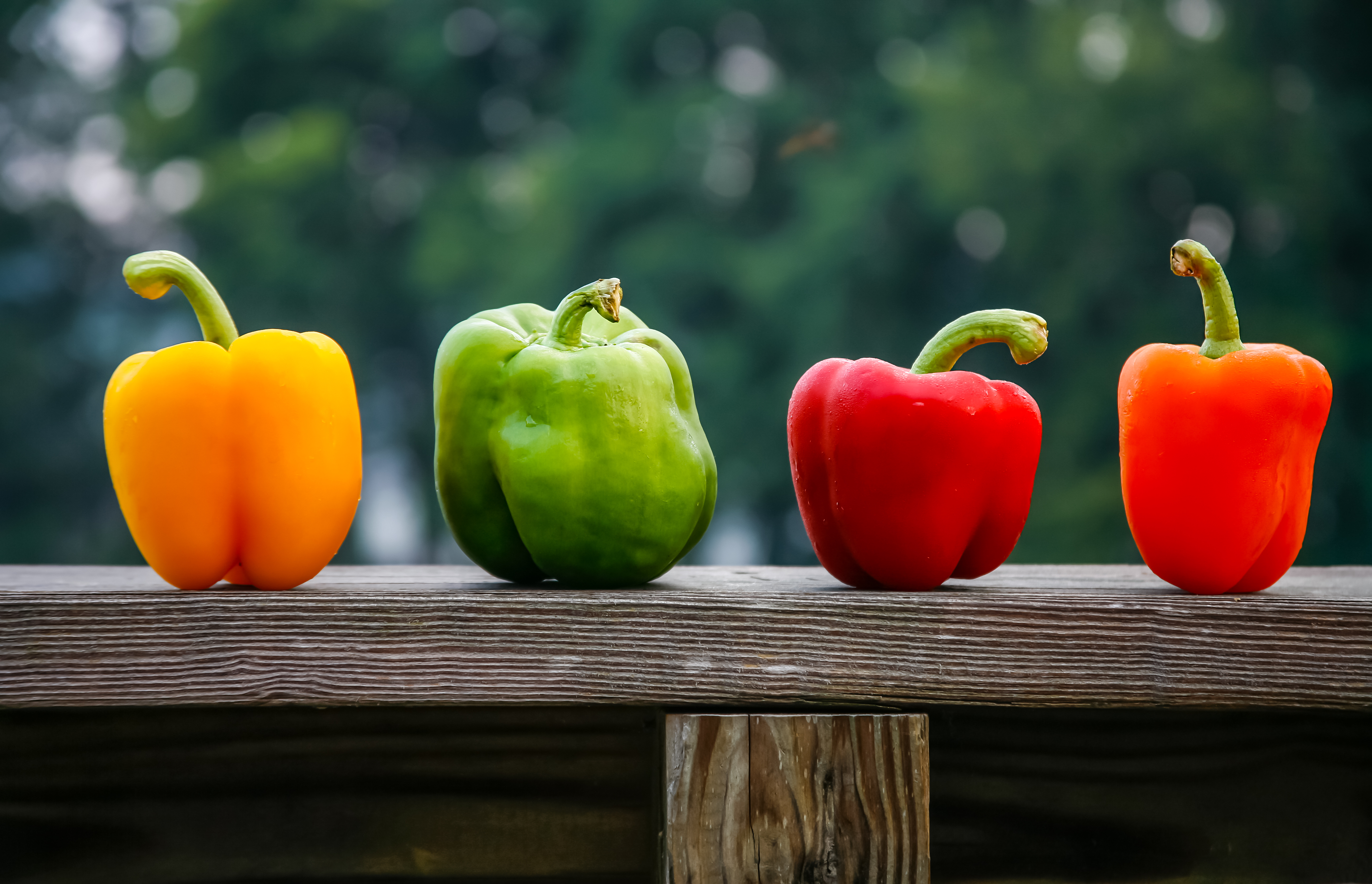 bell peppers on a wooden ledge bell peppers on a wooden ledge
