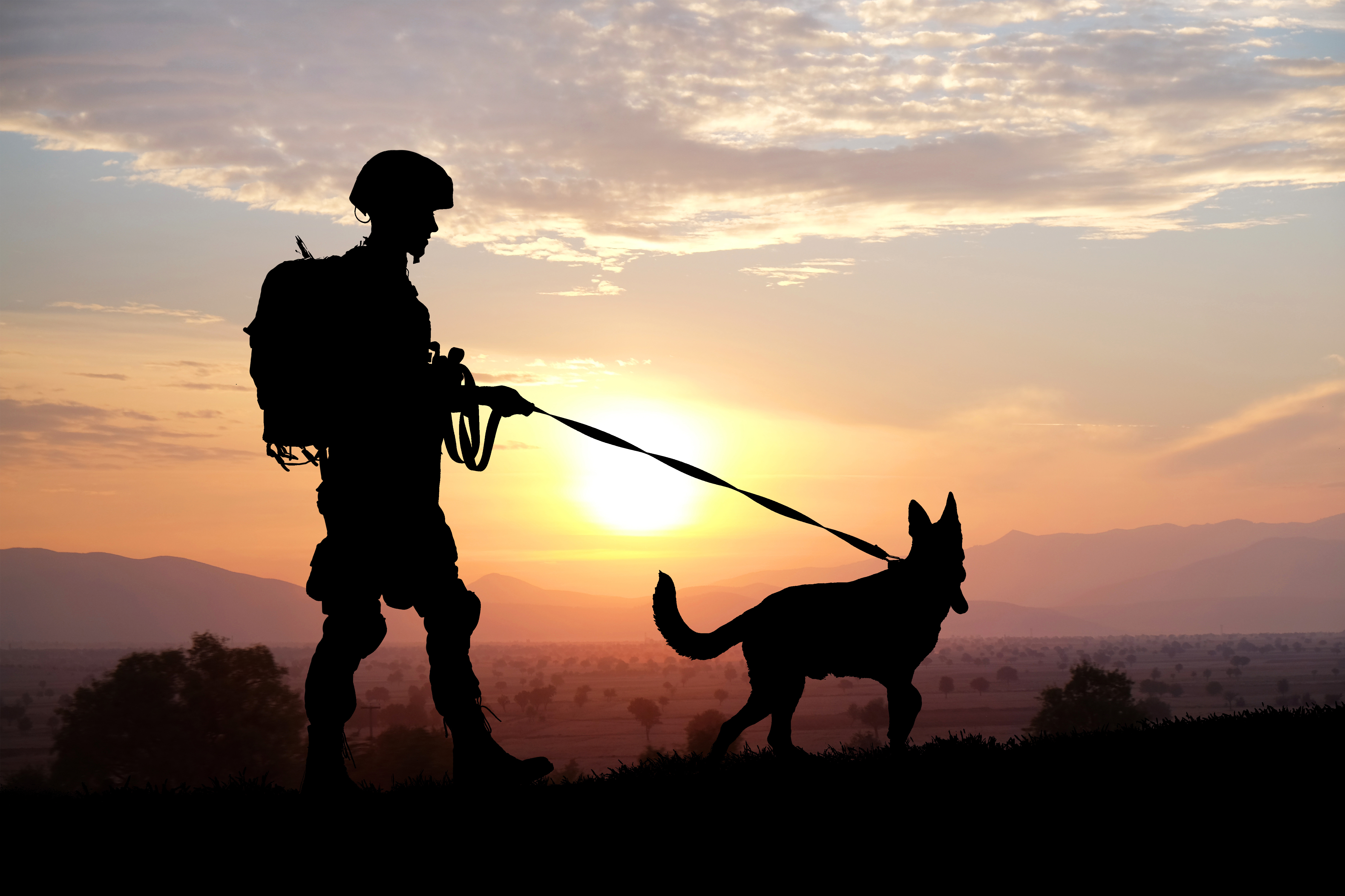 military man walking dog in sunset