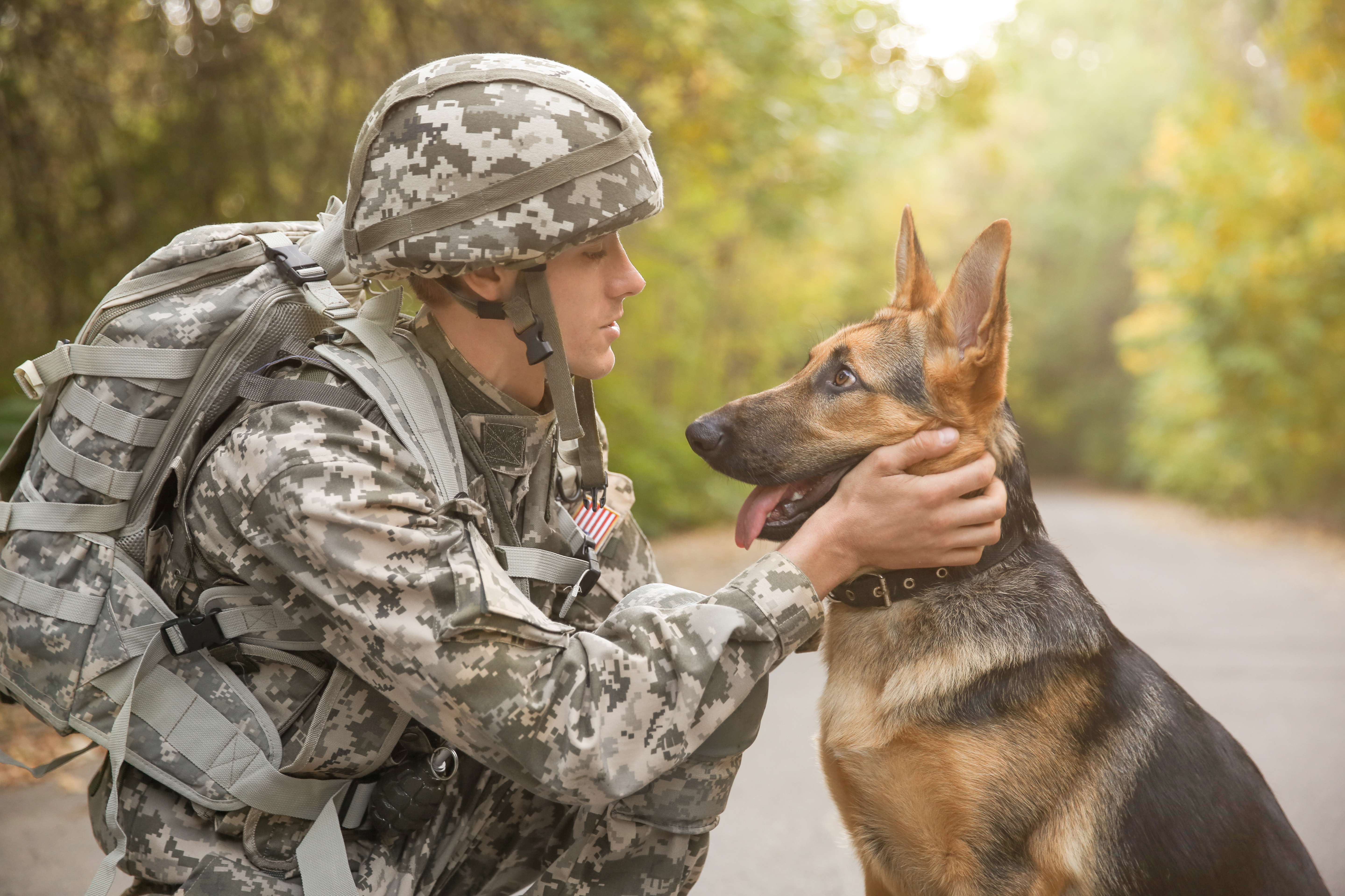 military man with dog