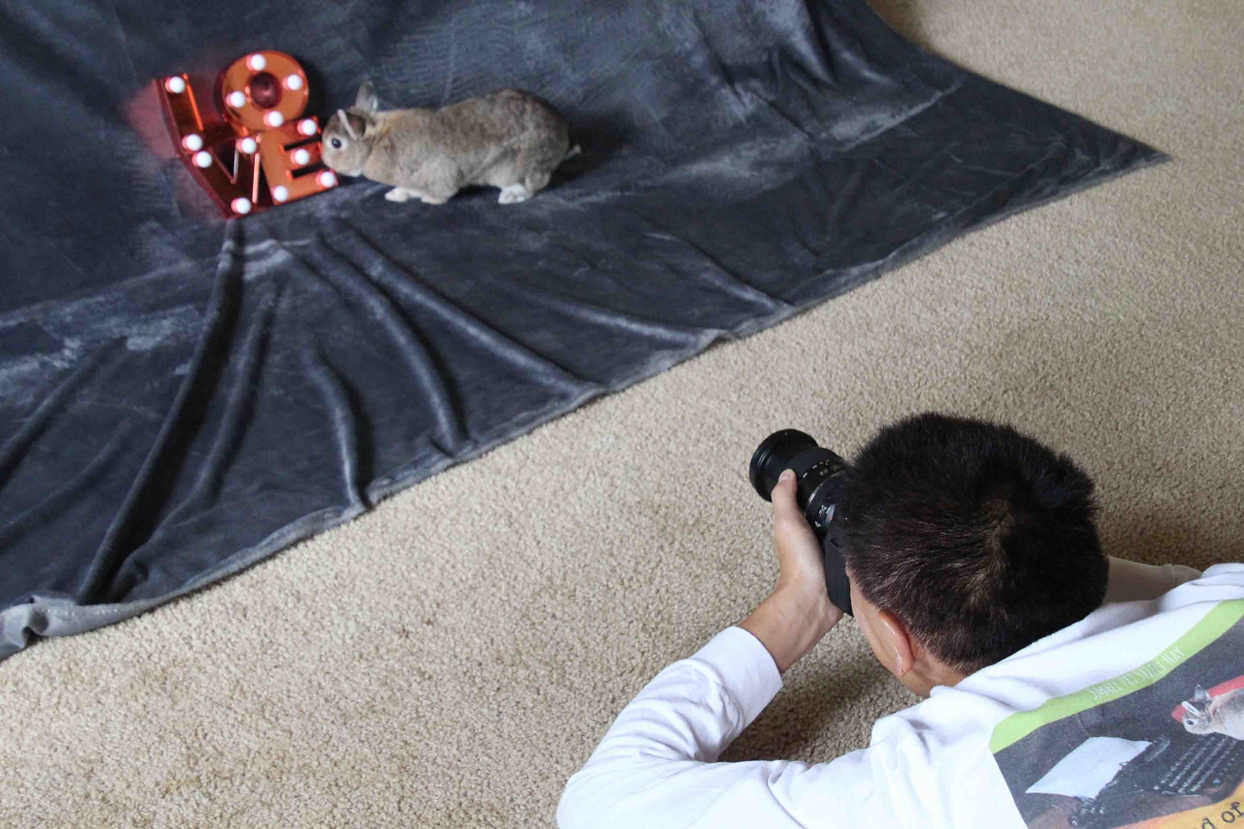 Abigail trains Dad to take glamour photos for adoption bunnies.