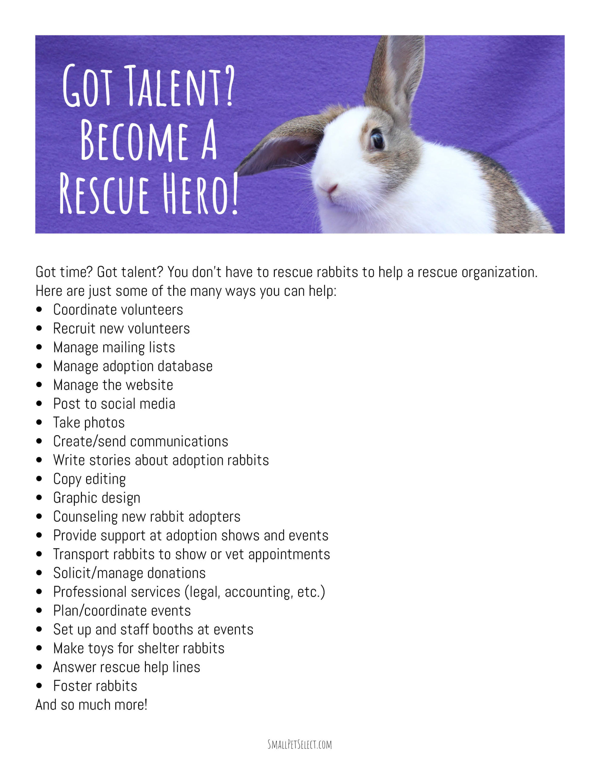Become a Rescue Hero