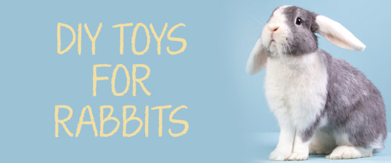 diy rabbit toys