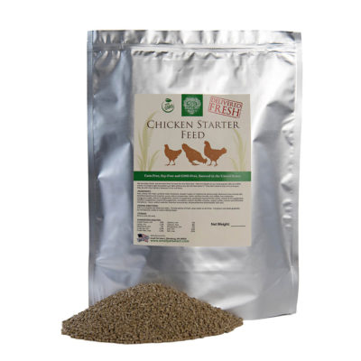 Chicken Feed: All You Need to Know | Small Pet Select