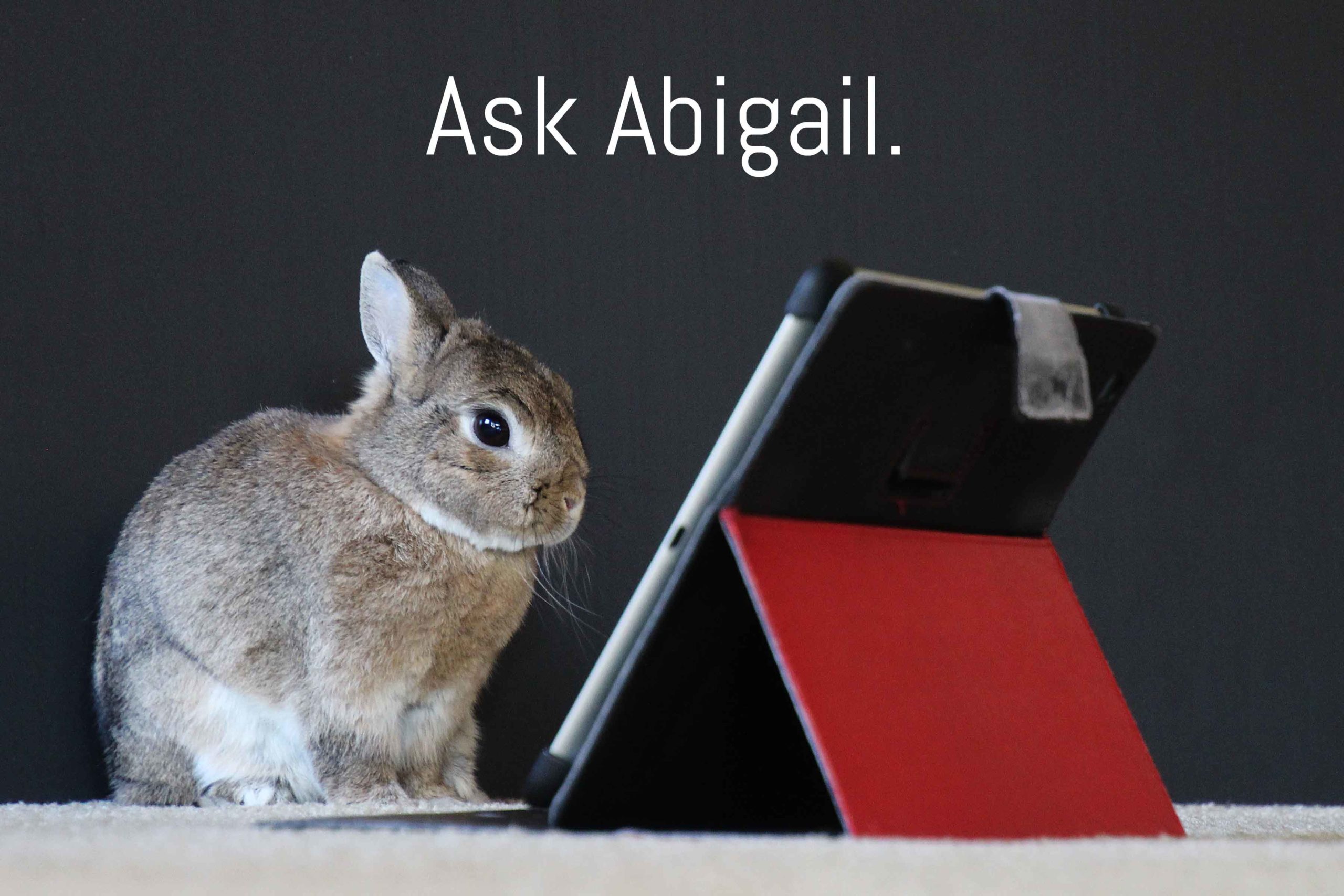Ask Abigail