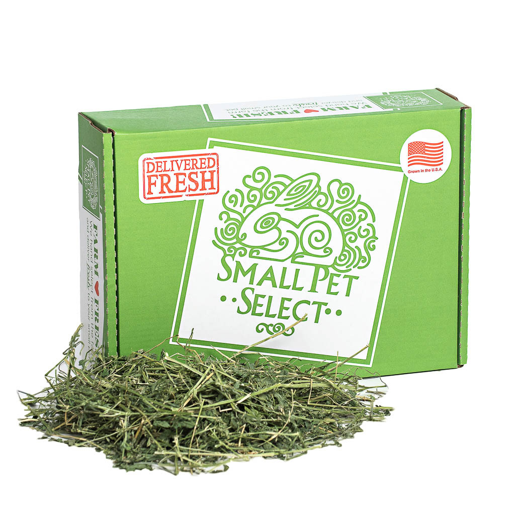 small pet select alfalfa hay