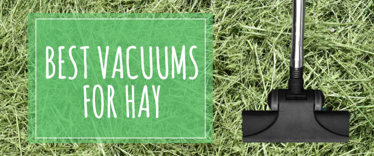 best vacuums for hay