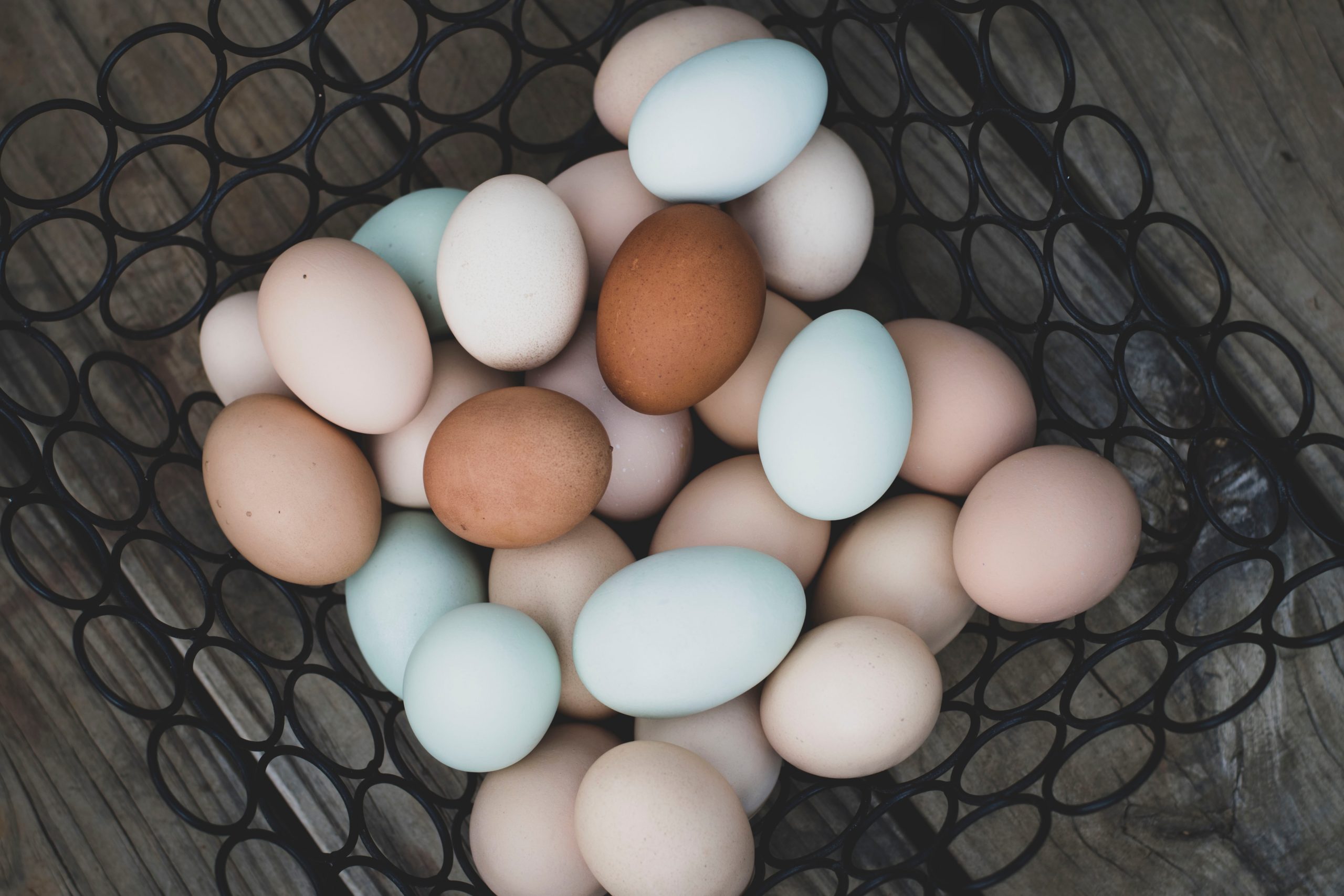 Basket of colored eggs